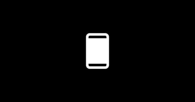 What is a Bitcoin Software Wallet?