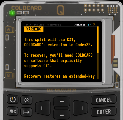 Q explaining that an extended-key wallet uses CX1