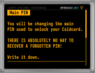 Q change main PIN warning